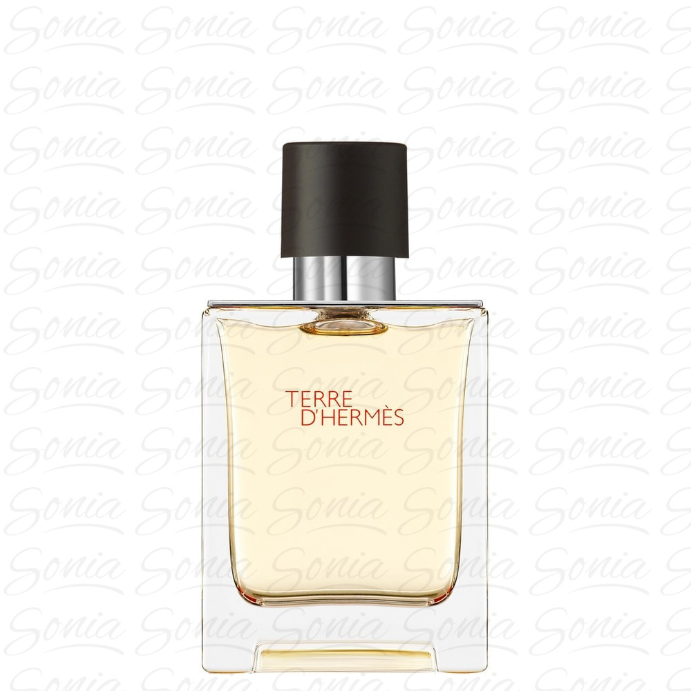 Hermes Terre D'Hermes Woda toaletowa for Man - 50ml 3346130009610