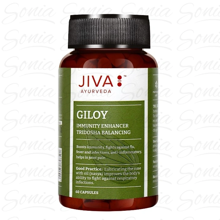 JIVA AYURVEDA Giloy Suplement diety wspomagający odporność i wspierający w stresie Kapsułki 60 szt.